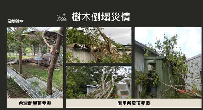 災情實況3圖片
