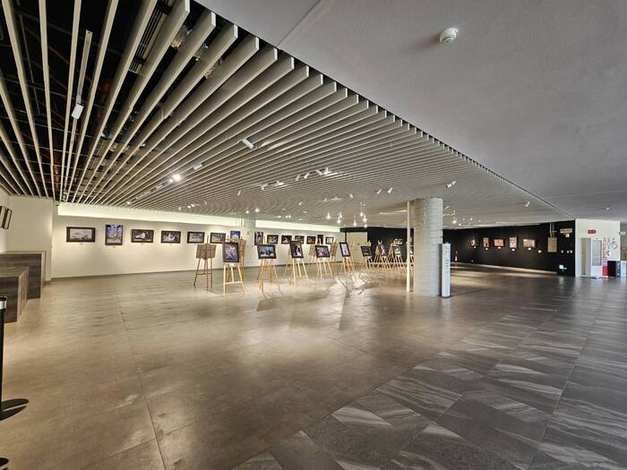 美麗的展場